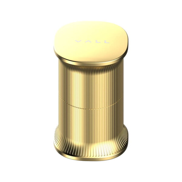 Vall Oil Remover Gold The K Beauty