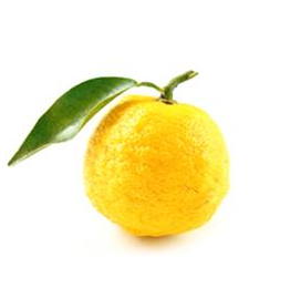formulier yuzu