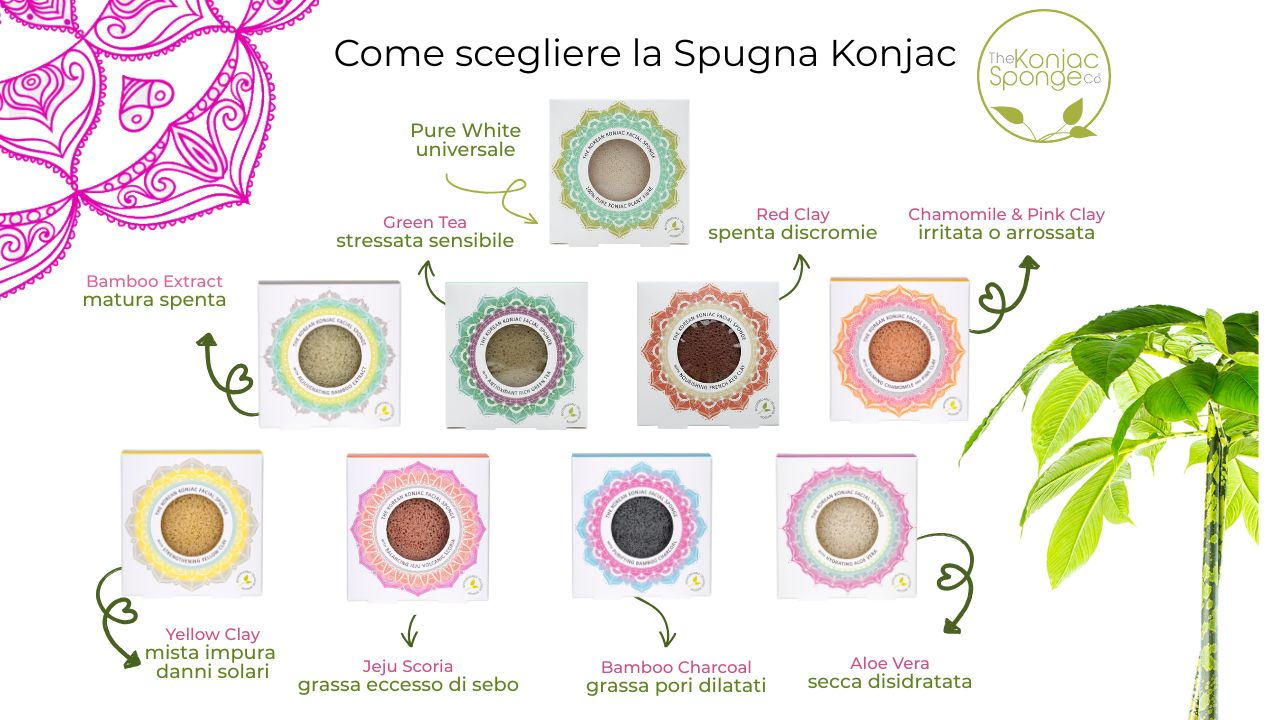 Come scegliere la giusta spugna konjac